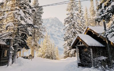 Brace yourself – Winter is Coming…